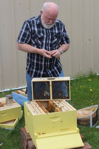 Photo by Stephanie Castillo. Bob Irvin, a community volunteer, helps get the bees set up April 4. Irvin often comes to give lectures and check on the bees health.